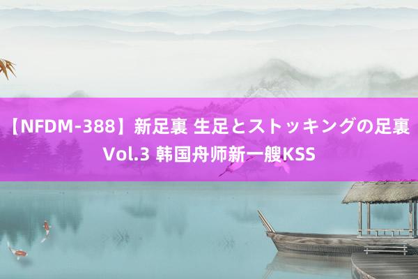 【NFDM-388】新足裏 生足とストッキングの足裏 Vol.3 韩国舟师新一艘KSS