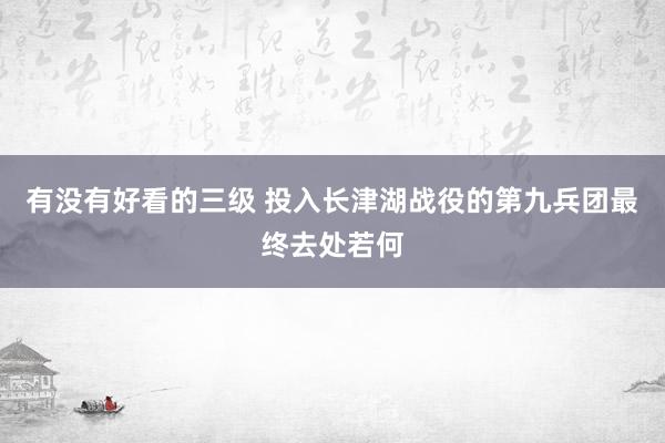 有没有好看的三级 投入长津湖战役的第九兵团最终去处若何