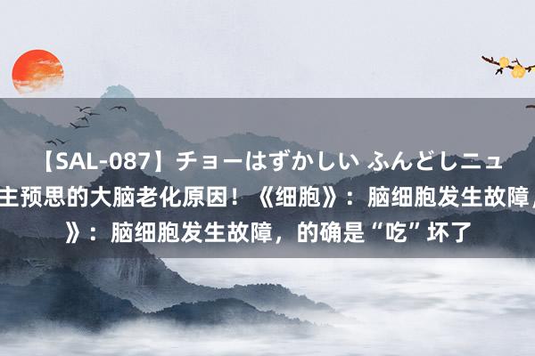 【SAL-087】チョーはずかしい ふんどしニューハーフ 2 出东谈主预思的大脑老化原因！《细胞》：脑细胞发生故障，的确是“吃”坏了