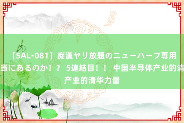 【SAL-081】痴漢ヤリ放題のニューハーフ専用車は本当にあるのか！？ 5連結目！！ 中国半导体产业的清华力量