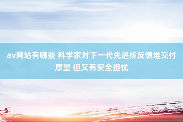 av网站有哪些 科学家对下一代先进核反馈堆交付厚望 但又有安全担忧