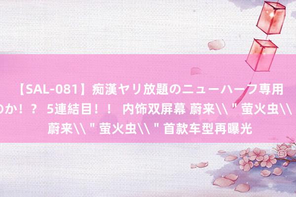 【SAL-081】痴漢ヤリ放題のニューハーフ専用車は本当にあるのか！？ 5連結目！！ 内饰双屏幕 蔚来\＂萤火虫\＂首款车型再曝光