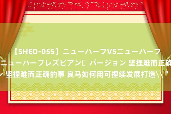 【SHED-055】ニューハーフVSニューハーフ 不純同性肛遊 2 魅惑のニューハーフレズビアン・バージョン 坚捏难而正确的事 良马如何用可捏续发展打造\＂反卷指南\＂