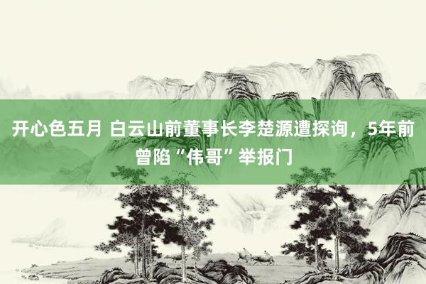 开心色五月 白云山前董事长李楚源遭探询，5年前曾陷“伟哥”举报门