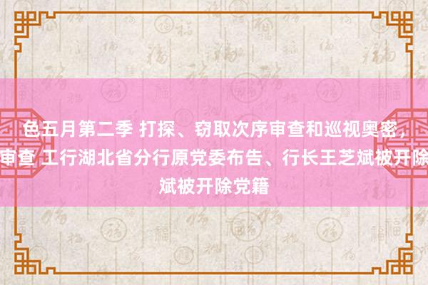 色五月第二季 打探、窃取次序审查和巡视奥密，起义审查 工行湖北省分行原党委布告、行长王芝斌被开除党籍