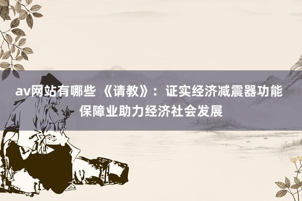 av网站有哪些 《请教》：证实经济减震器功能 保障业助力经济社会发展