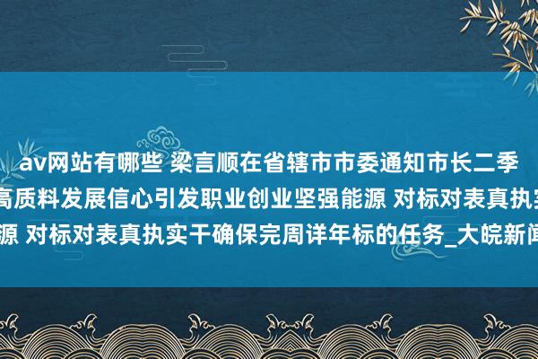 av网站有哪些 梁言顺在省辖市市委通知市长二季度责任会议上强调 坚贞高质料发展信心引发职业创业坚强能源 对标对表真执实干确保完周详年标的任务_大皖新闻 | 安徽网