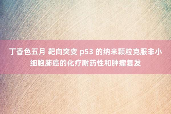 丁香色五月 靶向突变 p53 的纳米颗粒克服非小细胞肺癌的化疗耐药性和肿瘤复发