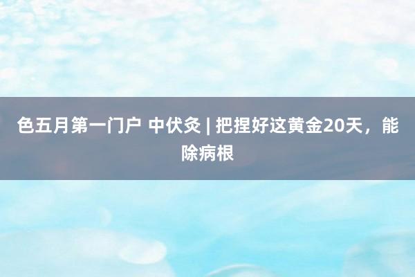 色五月第一门户 中伏灸 | 把捏好这黄金20天，能除病根