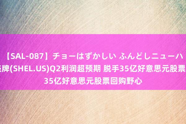 【SAL-087】チョーはずかしい ふんどしニューハーフ 2 壳牌(SHEL.US)Q2利润超预期 脱手35亿好意思元股票回购野心