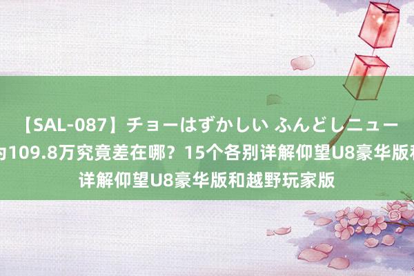 【SAL-087】チョーはずかしい ふんどしニューハーフ 2 同为109.8万究竟差在哪？15个各别详解仰望U8豪华版和越野玩家版