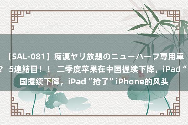 【SAL-081】痴漢ヤリ放題のニューハーフ専用車は本当にあるのか！？ 5連結目！！ 二季度苹果在中国握续下降，iPad“抢了”iPhone的风头