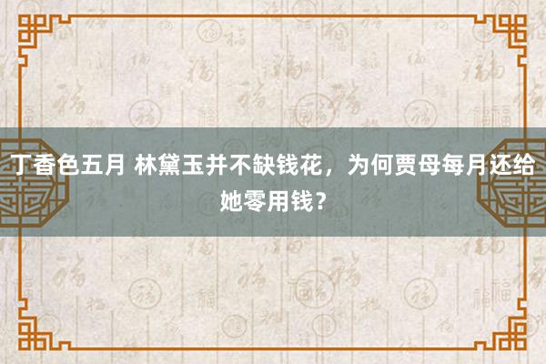 丁香色五月 林黛玉并不缺钱花，为何贾母每月还给她零用钱？