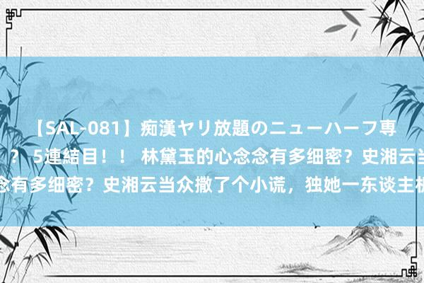 【SAL-081】痴漢ヤリ放題のニューハーフ専用車は本当にあるのか！？ 5連結目！！ 林黛玉的心念念有多细密？史湘云当众撒了个小谎，独她一东谈主机敏察觉