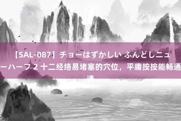 【SAL-087】チョーはずかしい ふんどしニューハーフ 2 十二经络易堵塞的穴位，平庸按按能畅通