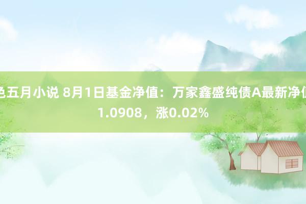 色五月小说 8月1日基金净值：万家鑫盛纯债A最新净值1.0908，涨0.02%