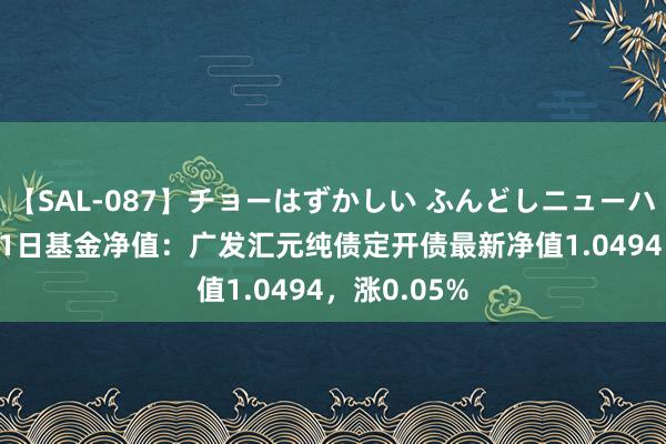 【SAL-087】チョーはずかしい ふんどしニューハーフ 2 8月1日基金净值：广发汇元纯债定开债最新净值1.0494，涨0.05%