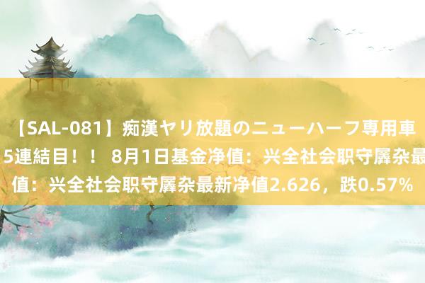 【SAL-081】痴漢ヤリ放題のニューハーフ専用車は本当にあるのか！？ 5連結目！！ 8月1日基金净值：兴全社会职守羼杂最新净值2.626，跌0.57%