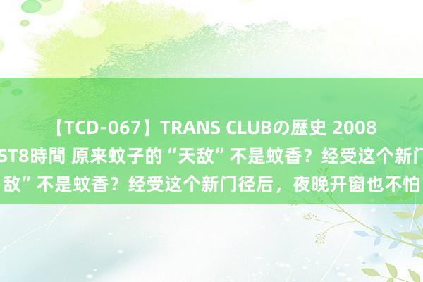 【TCD-067】TRANS CLUBの歴史 2008～2011 44タイトルBEST8時間 原来蚊子的“天敌”不是蚊香？经受这个新门径后，夜晚开窗也不怕