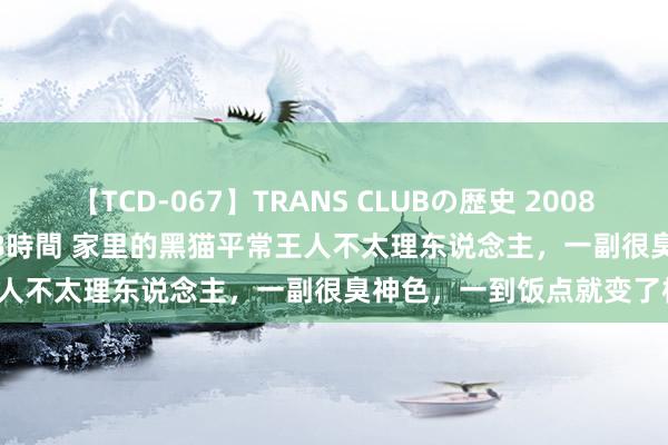 【TCD-067】TRANS CLUBの歴史 2008～2011 44タイトルBEST8時間 家里的黑猫平常王人不太理东说念主，一副很臭神色，<a href=