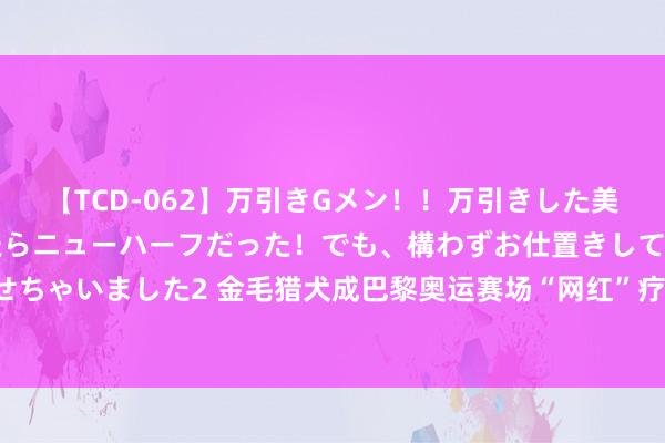 【TCD-062】万引きGメン！！万引きした美女を折檻しようと思ったらニューハーフだった！でも、構わずお仕置きして射精させちゃいました2 金毛猎犬成巴黎奥运赛场“网红”疗养师，萌宠力量温存东说念主心！