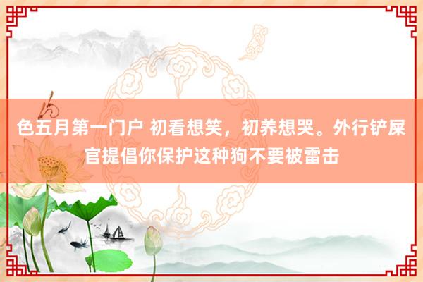 色五月第一门户 初看想笑，初养想哭。外行铲屎官提倡你保护这种狗不要被雷击