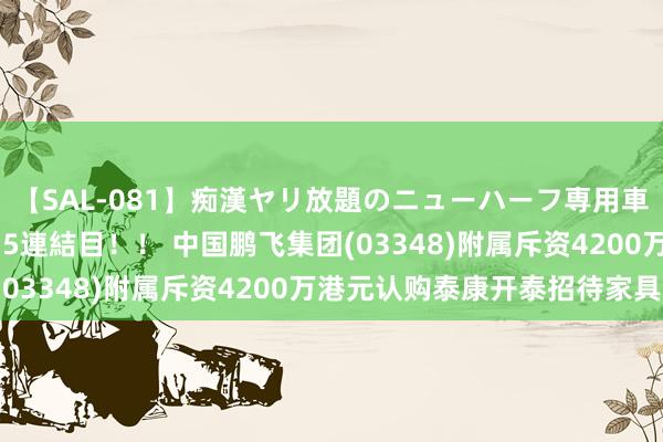 【SAL-081】痴漢ヤリ放題のニューハーフ専用車は本当にあるのか！？ 5連結目！！ 中国鹏飞集团(03348)附属斥资4200万港元认购泰康开泰招待家具