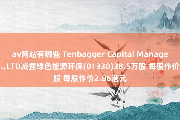 av网站有哪些 Tenbagger Capital Management CO.，LTD减捏绿色能源环保(01330)38.5万股 每股作价2.86港元