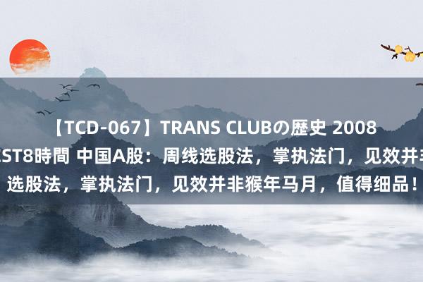 【TCD-067】TRANS CLUBの歴史 2008～2011 44タイトルBEST8時間 中国A股：周线选股法，掌执法门，见效并非猴年马月，值得细品！