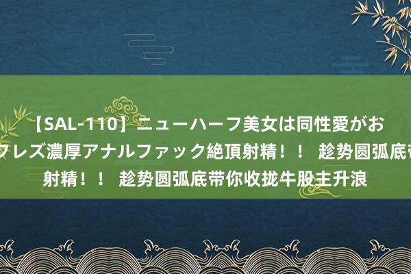 【SAL-110】ニューハーフ美女は同性愛がお好き♪ ニューハーフレズ濃厚アナルファック絶頂射精！！ 趁势圆弧底带你收拢牛股主升浪