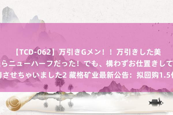 【TCD-062】万引きGメン！！万引きした美女を折檻しようと思ったらニューハーフだった！でも、構わずお仕置きして射精させちゃいました2 藏格矿业最新公告：拟回购1.5亿元-3亿元公司股份用于刊出