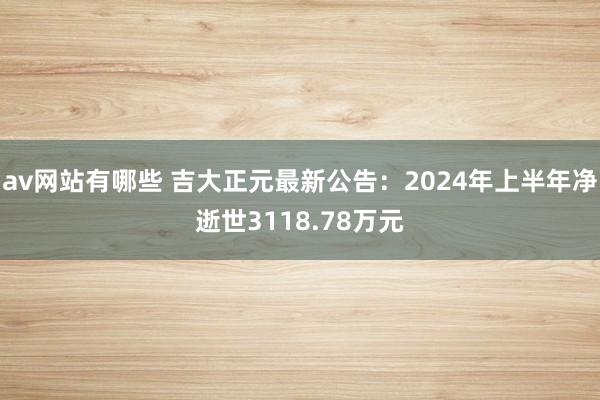 av网站有哪些 吉大正元最新公告：2024年上半年净逝世3118.78万元