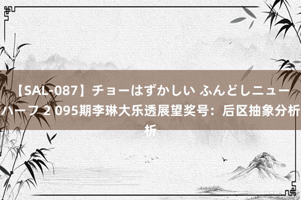 【SAL-087】チョーはずかしい ふんどしニューハーフ 2 095期李琳大乐透展望奖号：后区抽象分析