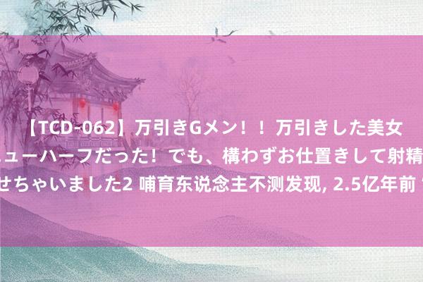 【TCD-062】万引きGメン！！万引きした美女を折檻しようと思ったらニューハーフだった！でも、構わずお仕置きして射精させちゃいました2 哺育东说念主不测发现， 2.5亿年前“芯片”， 地球文雅束缚轮回?