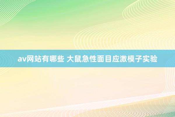 av网站有哪些 大鼠急性面目应激模子实验