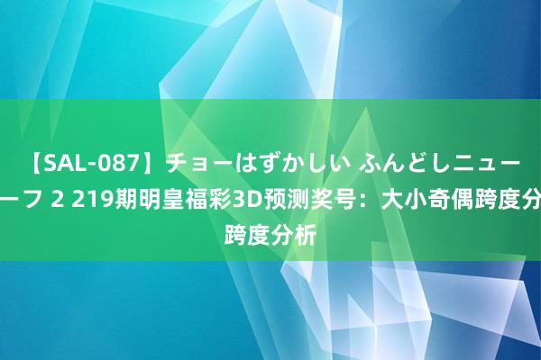 【SAL-087】チョーはずかしい ふんどしニューハーフ 2 219期明皇福彩3D预测奖号：大小奇偶跨度分析