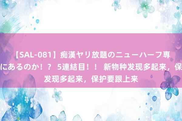 【SAL-081】痴漢ヤリ放題のニューハーフ専用車は本当にあるのか！？ 5連結目！！ 新物种发现多起来，保护要跟上来