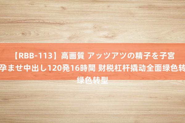 【RBB-113】高画質 アッツアツの精子を子宮に孕ませ中出し120発16時間 财税杠杆撬动全面绿色转型