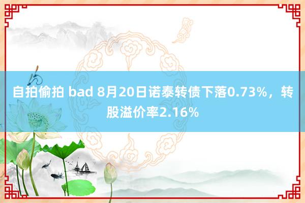 自拍偷拍 bad 8月20日诺泰转债下落0.73%，转股溢价率2.16%