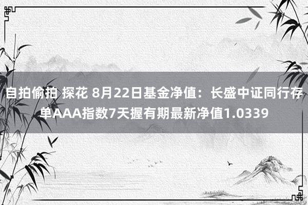 自拍偷拍 探花 8月22日基金净值：长盛中证同行存单AAA指数7天握有期最新净值1.0339