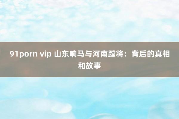 91porn vip 山东响马与河南蹚将：背后的真相和故事