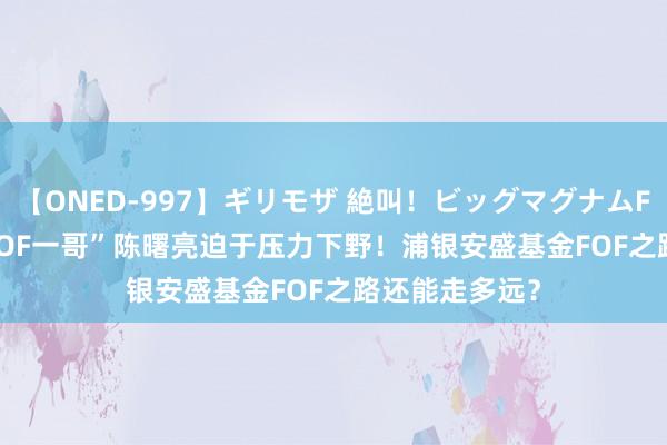 【ONED-997】ギリモザ 絶叫！ビッグマグナムFUCK Ami “FOF一哥”陈曙亮迫于压力下野！浦银安盛基金FOF之路还能走多远？