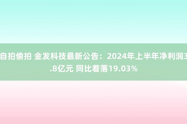 自拍偷拍 金发科技最新公告：2024年上半年净利润3.8亿元 同比着落19.03%