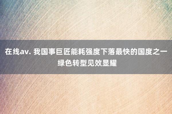 在线av. 我国事巨匠能耗强度下落最快的国度之一 绿色转型见效显耀