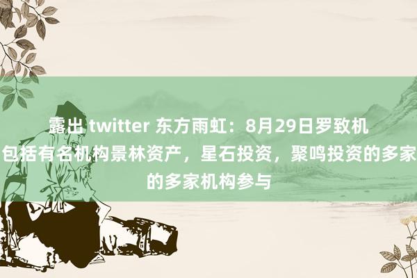 露出 twitter 东方雨虹：8月29日罗致机构调研，包括有名机构景林资产，星石投资，聚鸣投资的多家机构参与