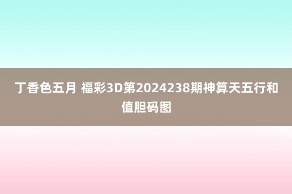 丁香色五月 福彩3D第2024238期神算天五行和值胆码图