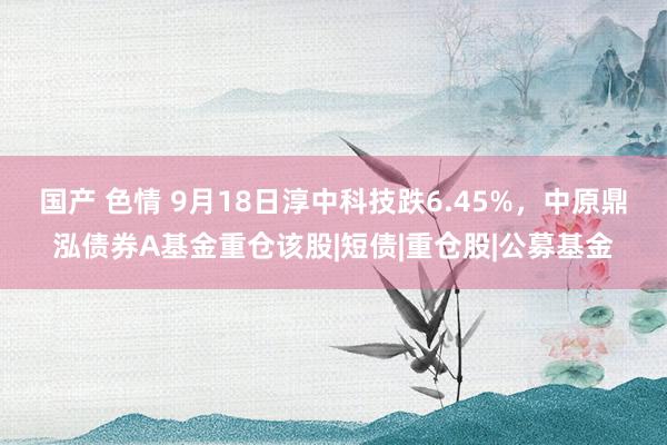 国产 色情 9月18日淳中科技跌6.45%，中原鼎泓债券A基金重仓该股|短债|重仓股|公募基金