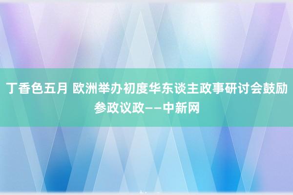 丁香色五月 欧洲举办初度华东谈主政事研讨会鼓励参政议政——中新网