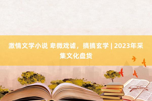 激情文学小说 卑微戏谑，搞搞玄学 | 2023年采集文化盘货