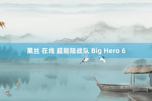 黑丝 在线 超能陆战队 Big Hero 6